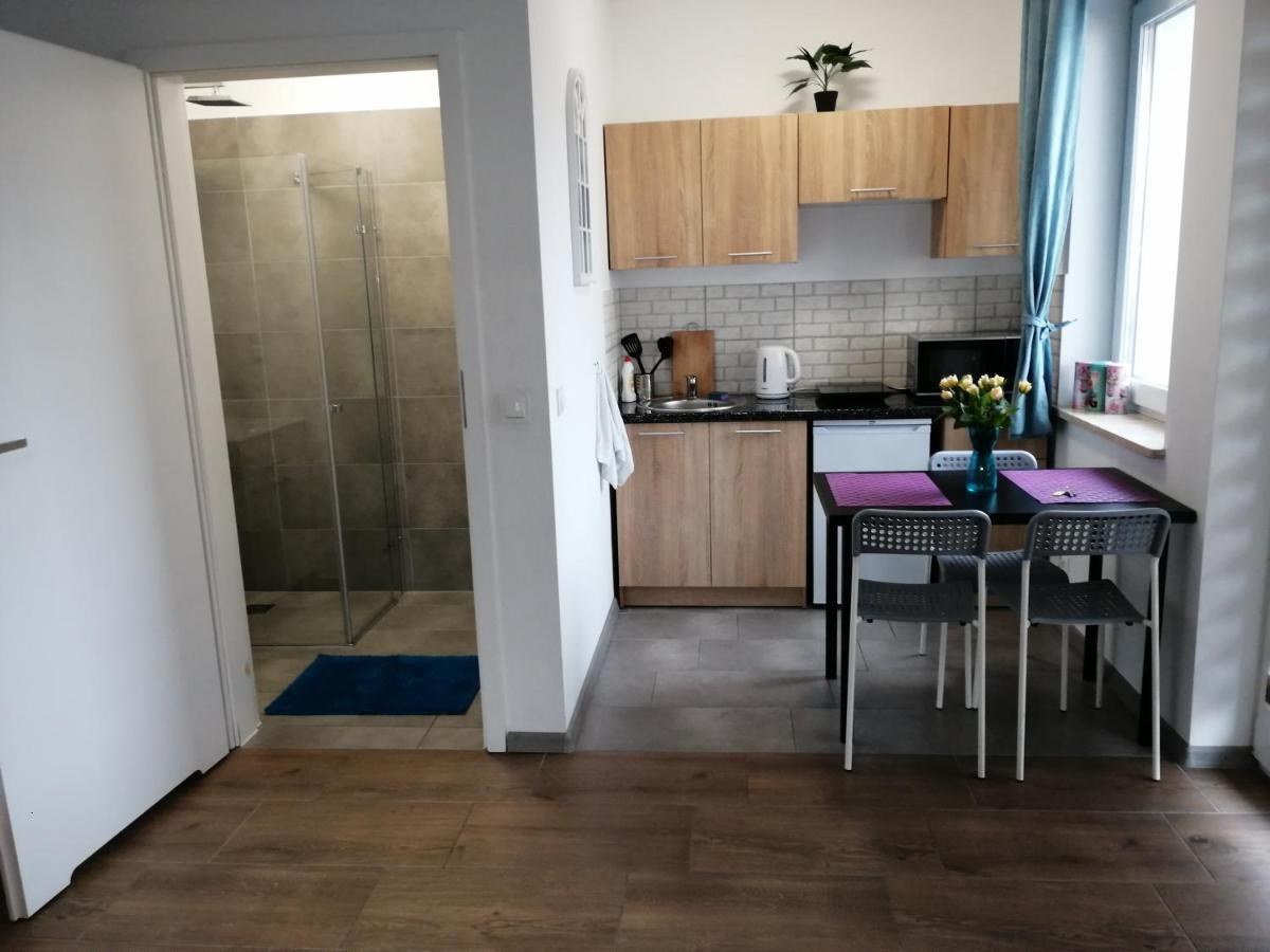 Pokoje - Studio Gliwice I Przy Onkologii Esterno foto