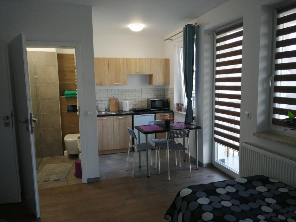 Pokoje - Studio Gliwice I Przy Onkologii Esterno foto